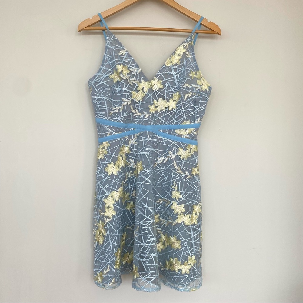 Fit & flare organza mini dress with embroidery